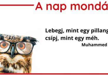 (HU) A nap mondása