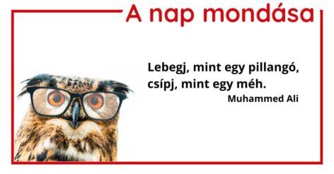 (HU) A nap mondása