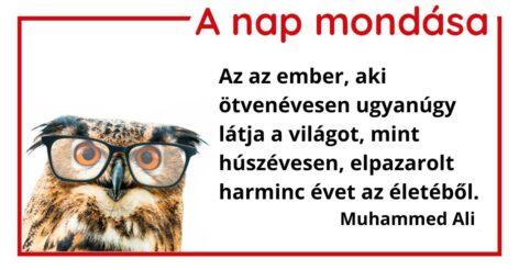 (HU) A nap mondása