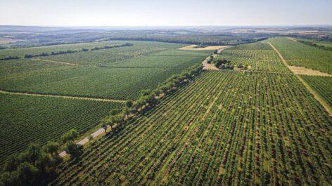 Törley Sparkling Wine Cellar: green innovation and sustainability