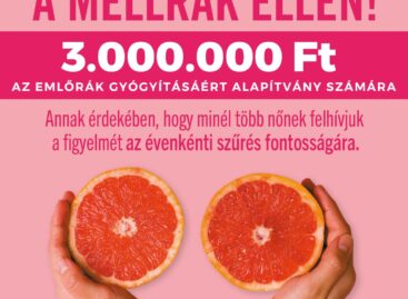 A Henkel Magyarország idén is kitűzte a rózsaszín szalagot