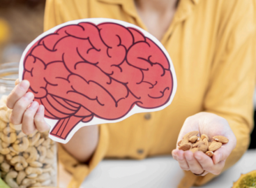 The ALL diet for brain health is a nutritional trend that is gaining more and more attention