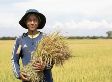 The international listing of sugar led to an increase in the price of the main food commodities