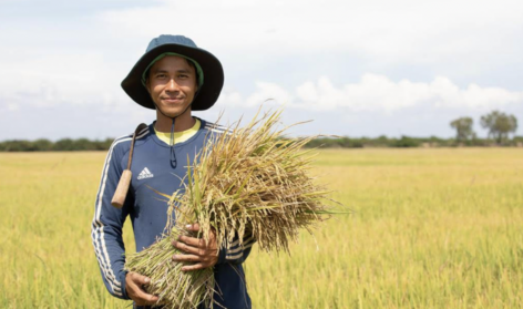 The international listing of sugar led to an increase in the price of the main food commodities