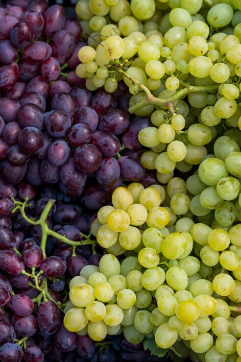 Table grapes can be one of the winners of climate change