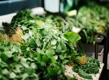 The price of root parsley in Poland is at a historic high