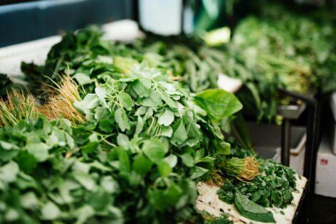 The price of root parsley in Poland is at a historic high