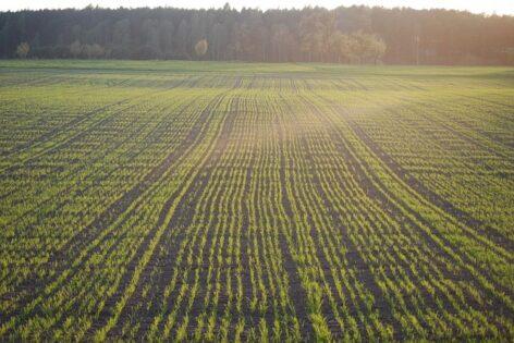 Agrometeorology: the soil is sufficiently moist for autumn sowing