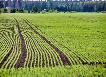 Agrometeorology: the soil is sufficiently moist, ideal for the development of rapeseed and autumn ears of corn