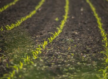 Agrometeorológia: jól lehet haladni az őszi munkákkal