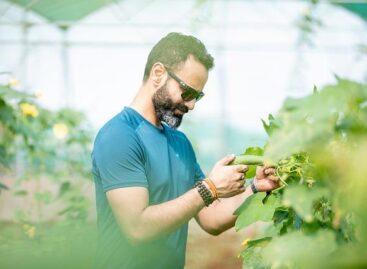 Mind támogatási, mind szabályozási oldalon minden lehetőséget kinyitott a kormány a fiatal gazdák számára