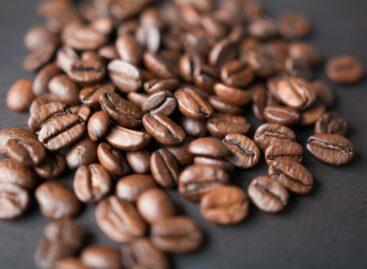 Arabica coffee price hits 47-year high