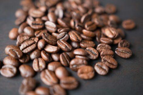 Arabica coffee price hits 47-year high