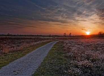 From 2025, a new EU regulation will affect wetland farmers