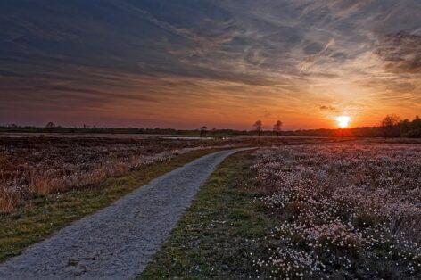 From 2025, a new EU regulation will affect wetland farmers