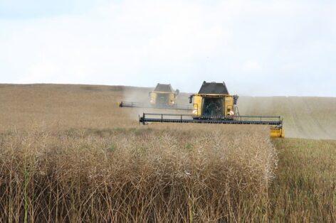 Results and developments in the new era of Hungarian agriculture