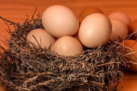 Eggs cost more than 17 percent less