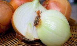 Polish wholesale onion market: prices at a permanent low, no quick turnaround expected due to import pressure