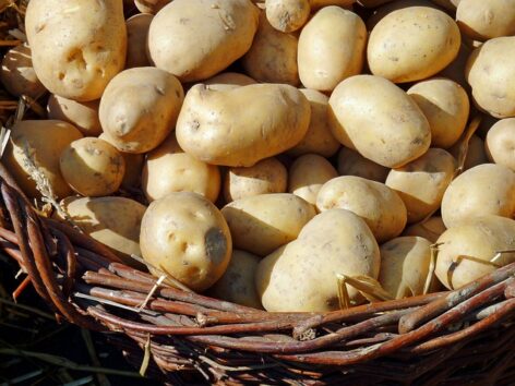 Hungary must become self-sufficient in potatoes