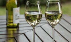 China would develop its wine sector with Hungarian experts