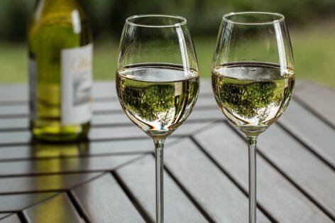 The processing sales price of white wines with a protected geographical indication has increased