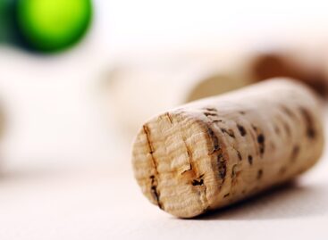 Waitrose becomes first major UK retailer to trial cork recycling scheme