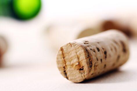 Waitrose becomes first major UK retailer to trial cork recycling scheme