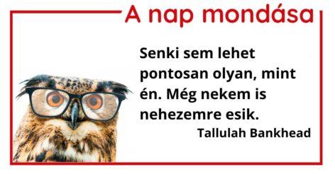 (HU) A nap mondása