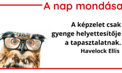 (HU) A nap mondása