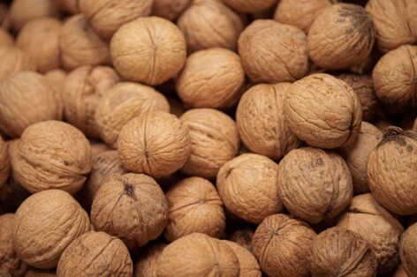The decline of the walnut sector – under the pressure of import and climate challenges