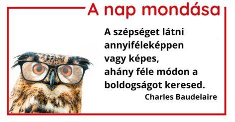 (HU) A nap mondása