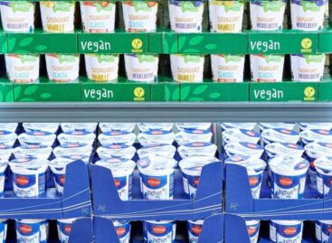 ProVeg: Németországban a Lidl kínálja a legkedvezőbb árú vegán kosarat