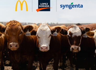 McDonald’s USA, Syngenta and Lopez Foods Collaborate to Help Produce Beef More Sustainably in the US