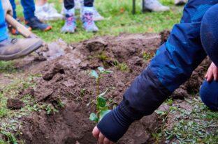 In the way of carbon awareness: SPAR compensates for its events by planting hundreds of indigenous fruit trees