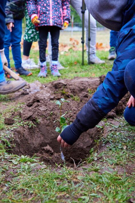 In the way of carbon awareness: SPAR compensates for its events by planting hundreds of indigenous fruit trees