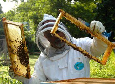 Important deadline for beekeepers