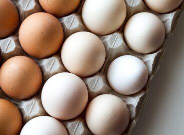 Egg prices remain lower than a year ago