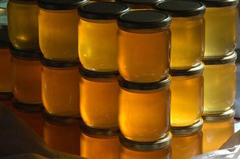 Effective action must be taken against the placing of fake honey on the EU market