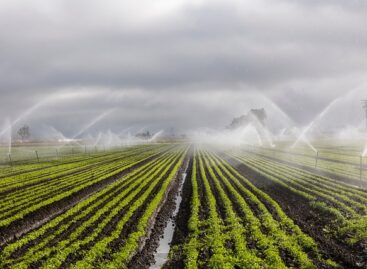 Nagy István: 2025 az áttörés éve az agráriumban