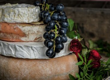 Another triumph of Hungarian cheese culture – Hungarian cheeses conquered the World Cheese Awards!