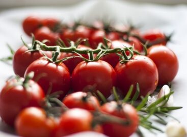 The price of bunch tomatoes has changed minimally