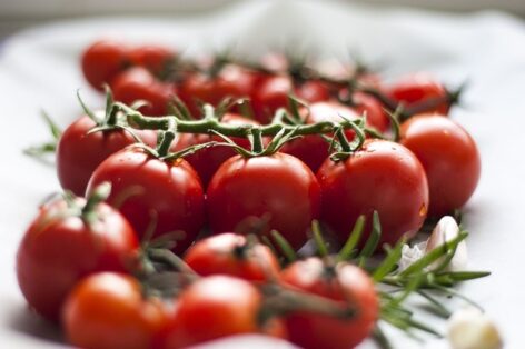 The price of bunch tomatoes has changed minimally