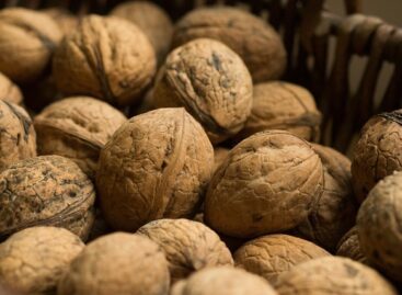 Let’s eat as many Hungarian walnuts as possible, and not just in December!