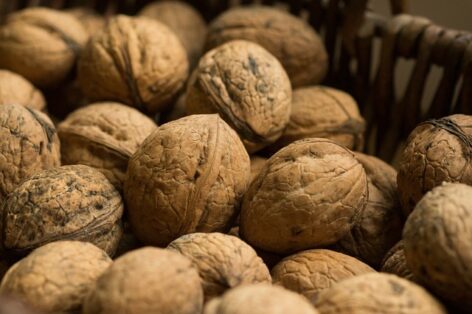 Let’s eat as many Hungarian walnuts as possible, and not just in December!