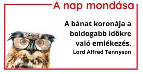 (HU) A nap mondása