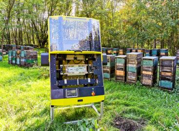 The global reform of beekeeping can start from Jászberény