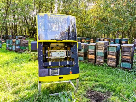 The global reform of beekeeping can start from Jászberény