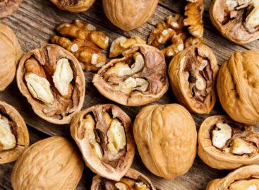 Challenges and prospects of Hungarian walnut production