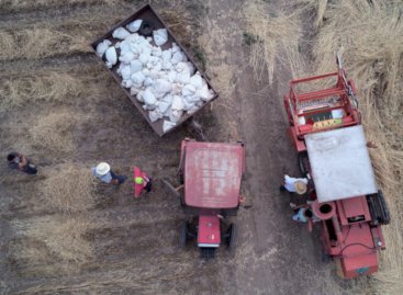 FAO: Global food prices rose to more than a year-and-a-half high in November