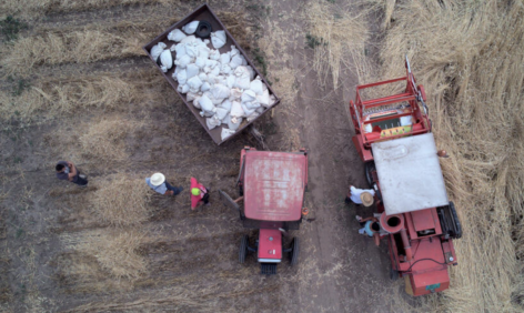 FAO: Global food prices rose to more than a year-and-a-half high in November